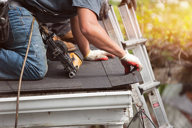 Best Roof Gutter Cleaning  in Buckhead, GA