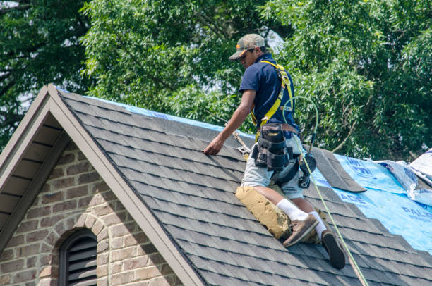 Best Gutter Installation and Roofing  in Buckhead, GA